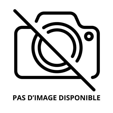 Ceinture En Métal Seine