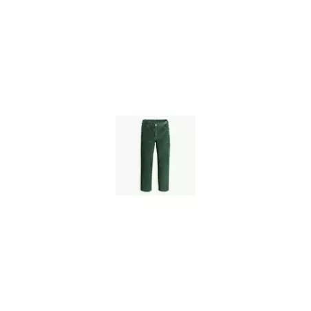 PANTALON VELOURS 568™ STAY LOOSE CARPENTER